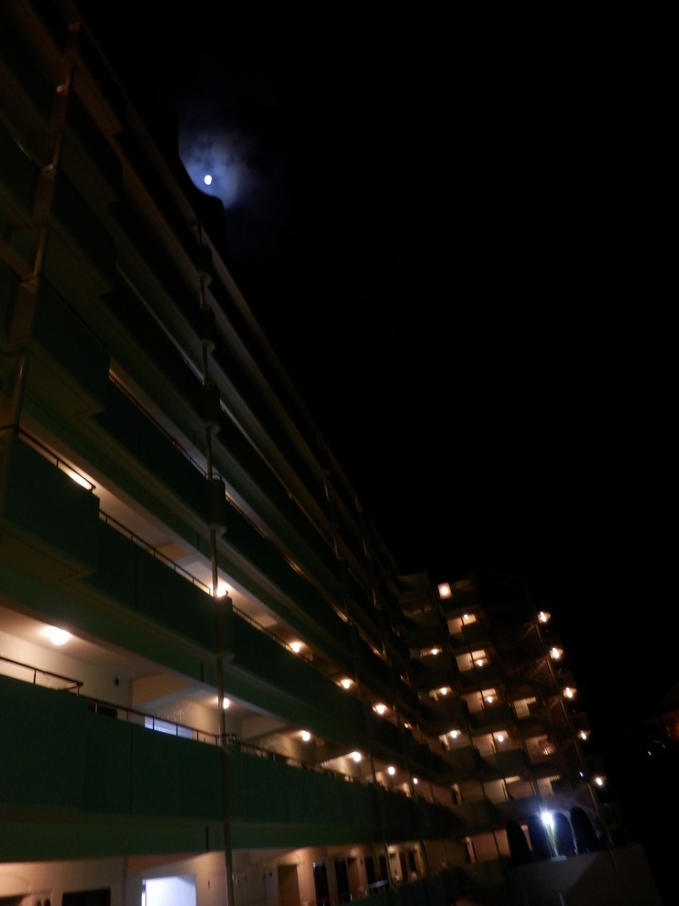 c0062511_21533694.jpg