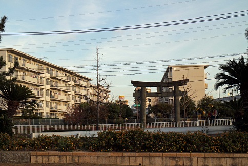 a0151913_21551410.jpg