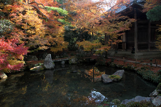 紅葉だより62 蓮華寺 散りモミジ_e0048413_19511537.jpg