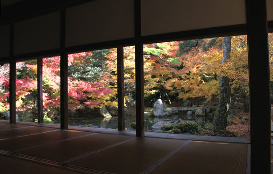 紅葉だより62 蓮華寺 散りモミジ_e0048413_1951265.jpg