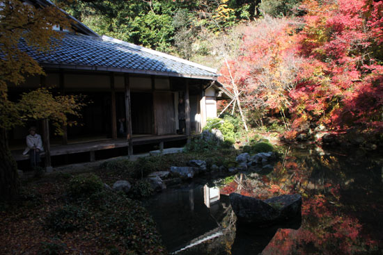 紅葉だより62 蓮華寺 散りモミジ_e0048413_19513079.jpg