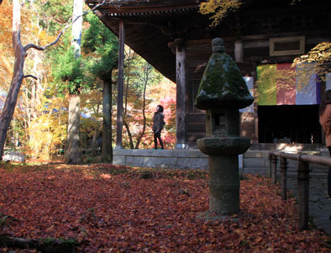 紅葉だより62 蓮華寺 散りモミジ_e0048413_19514157.jpg