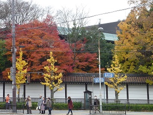 a0177314_11204270.jpg