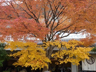 a0177314_11254661.jpg