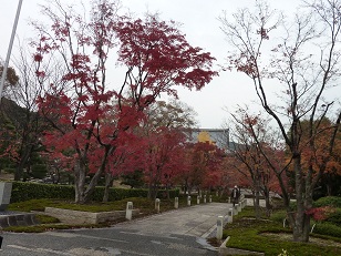 a0177314_1126829.jpg