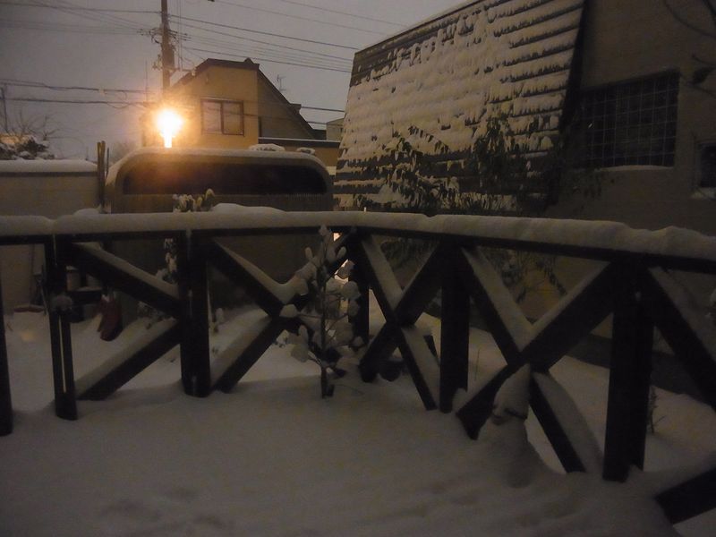 この冬初めての本格的降雪_c0025115_2146244.jpg