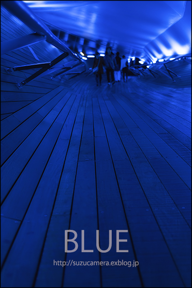 Out Of The Blue_f0100215_16272261.jpg