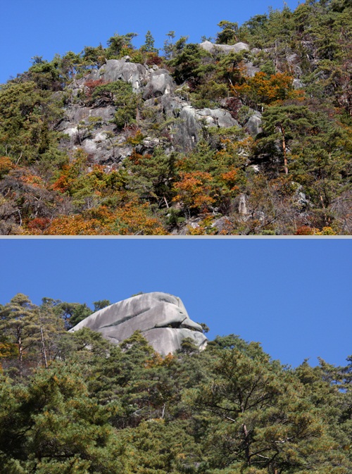 c0073016_1741664.jpg