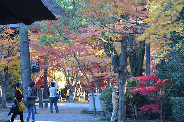 平林寺_c0223117_13455380.jpg