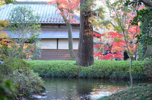 平林寺_c0223117_13472623.jpg