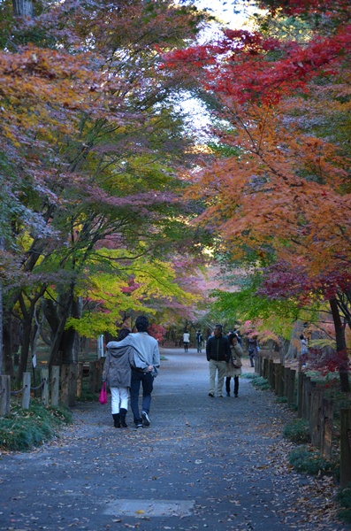 平林寺_c0223117_1414131.jpg