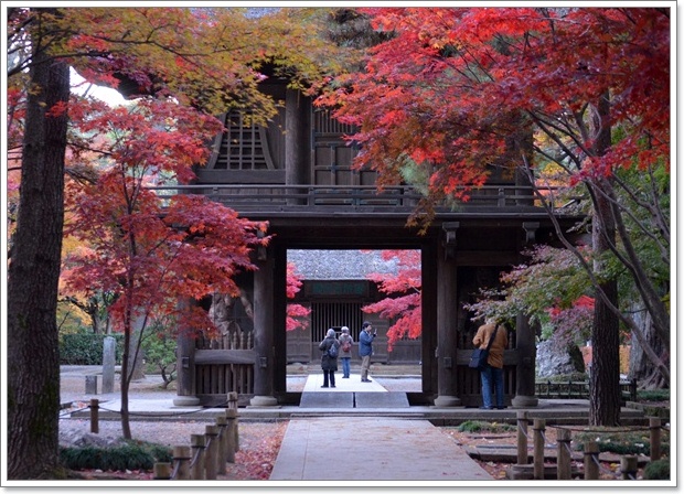 平林寺_c0223117_14155835.jpg