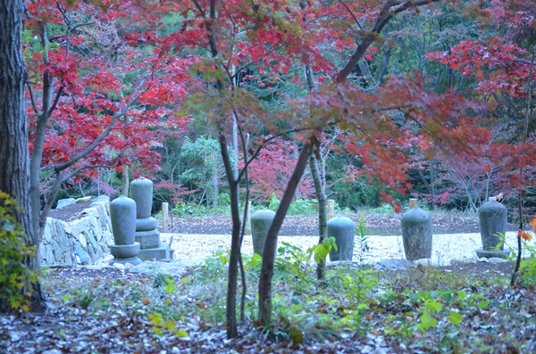 平林寺_c0223117_14284249.jpg