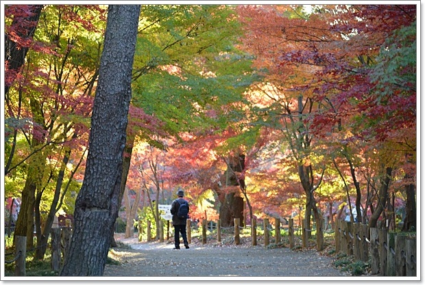 平林寺_c0223117_1428576.jpg