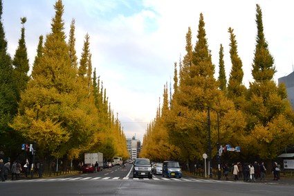 東京散歩2012③　神宮外苑いちょう祭_d0264817_17591793.jpg