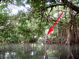 a0043520_23252781.jpg