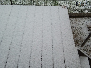 １２月、雪だぁ～！_b0191320_1527542.jpg