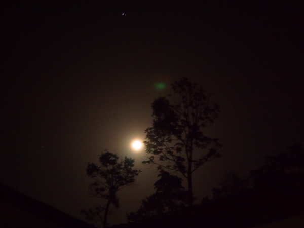 b0208620_19285581.jpg