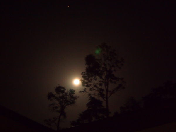 b0208620_19541390.jpg