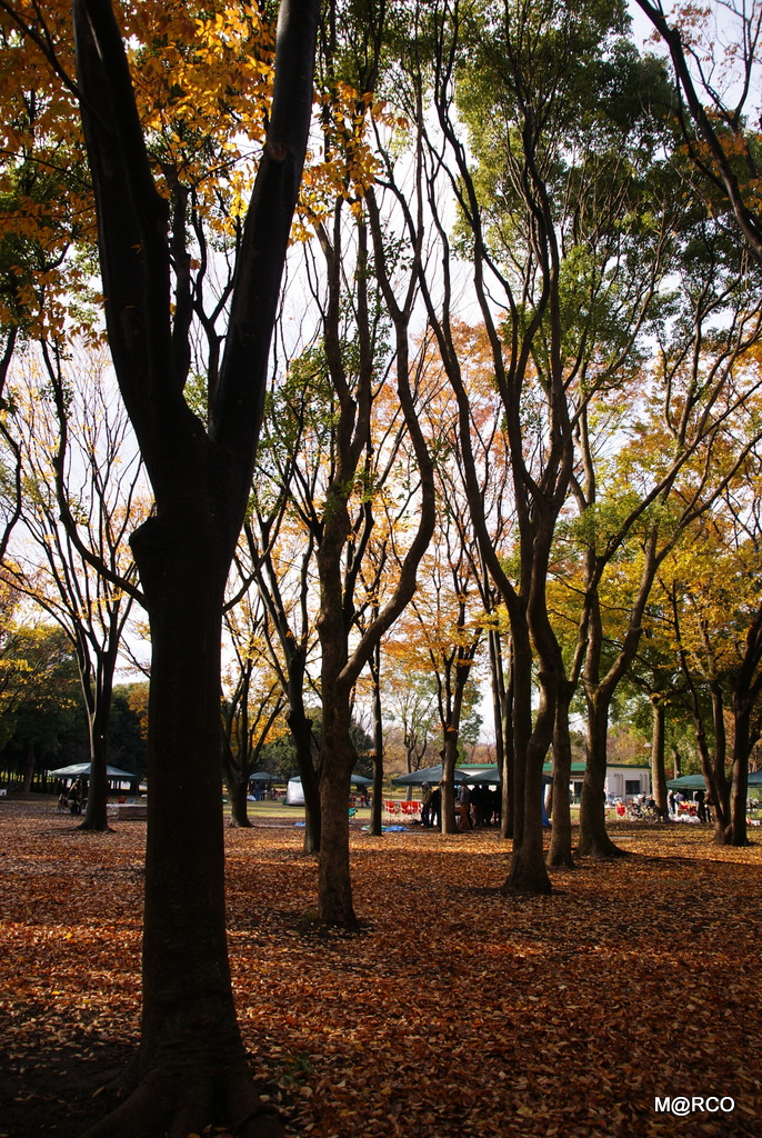 a0240721_2253056.jpg