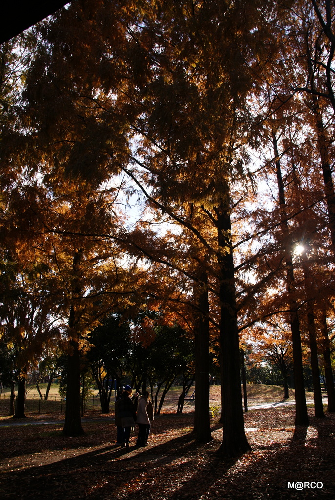 a0240721_2253848.jpg