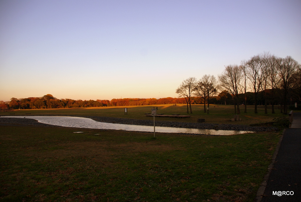 a0240721_22562129.jpg