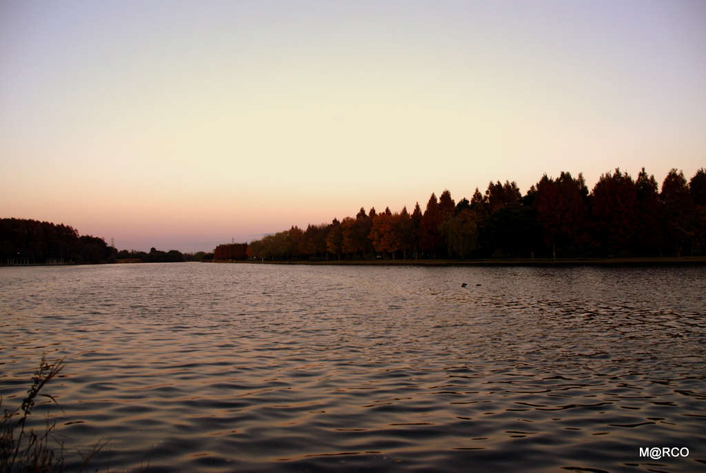a0240721_2257444.jpg