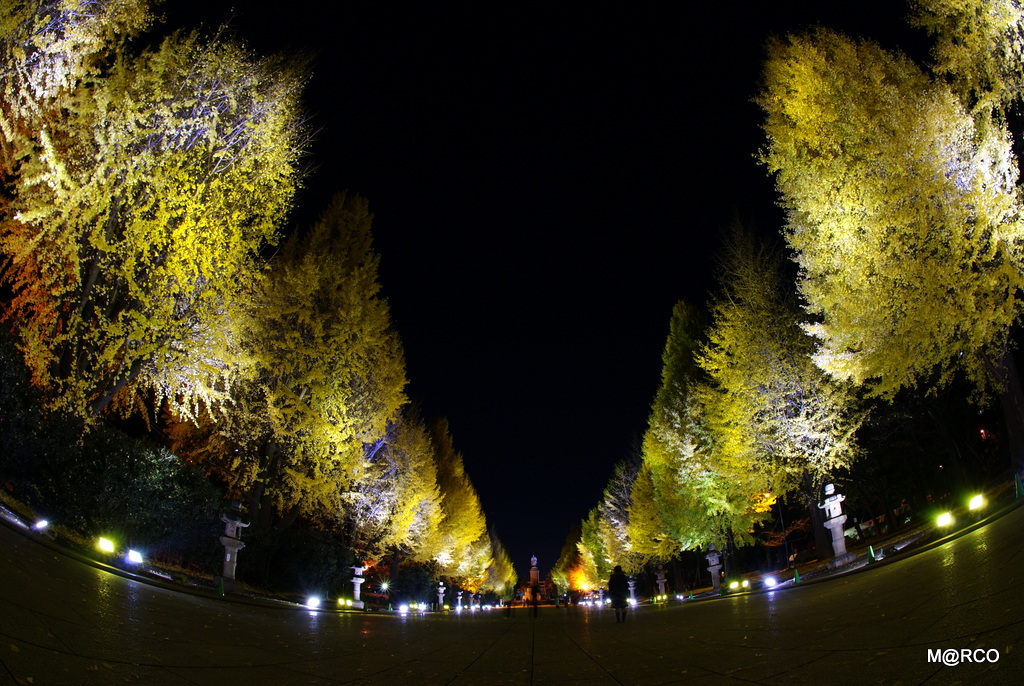 a0240721_233257.jpg