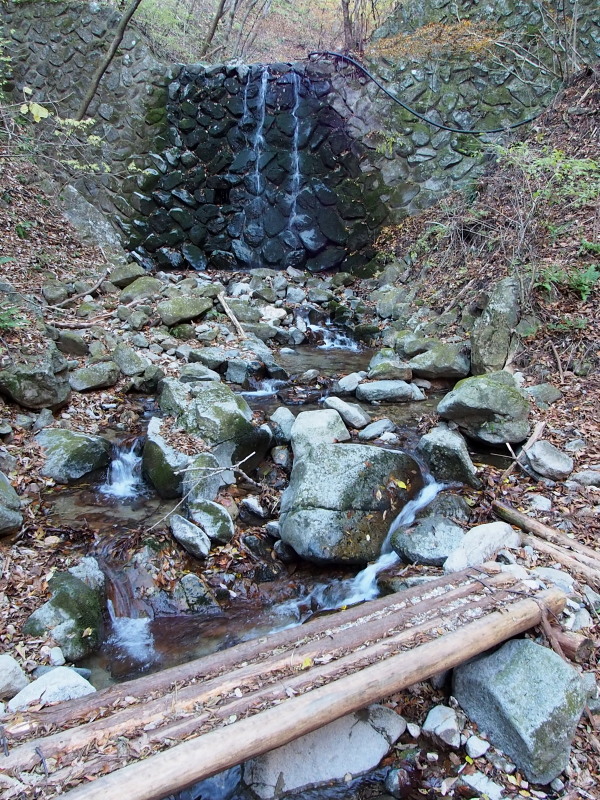 c0085622_2143239.jpg