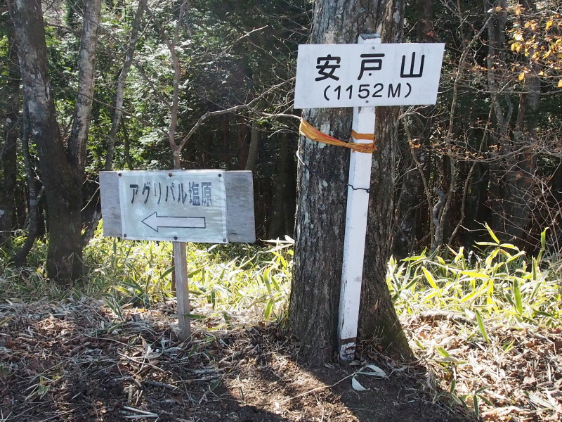 c0085622_21435543.jpg