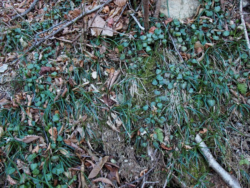 c0085622_2144956.jpg