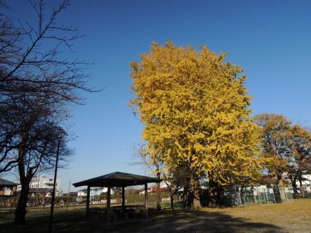 a0166324_22204637.jpg