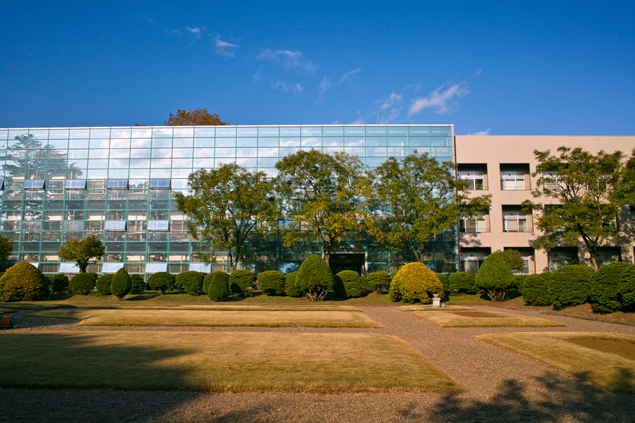 c0223825_1475585.jpg