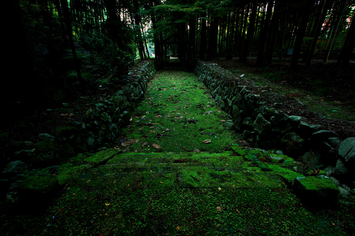 f0004525_22291390.jpg