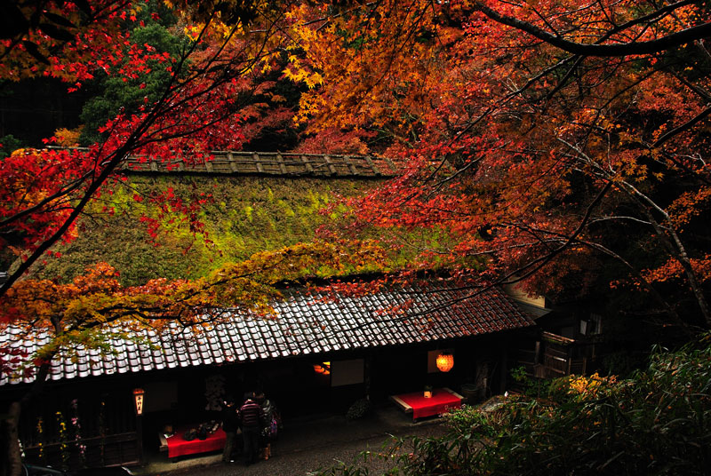 錦秋の京都(高雄方面）_f0060531_1630641.jpg