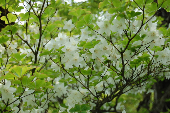 a0243432_224328.jpg