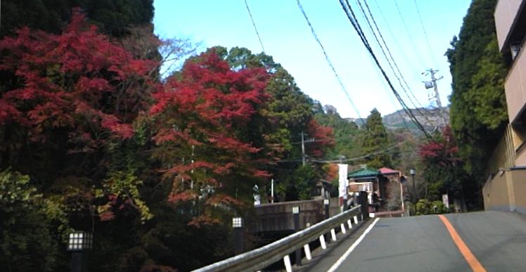 ~紅葉~まだ見頃が続きます!_e0152233_22453756.jpg
