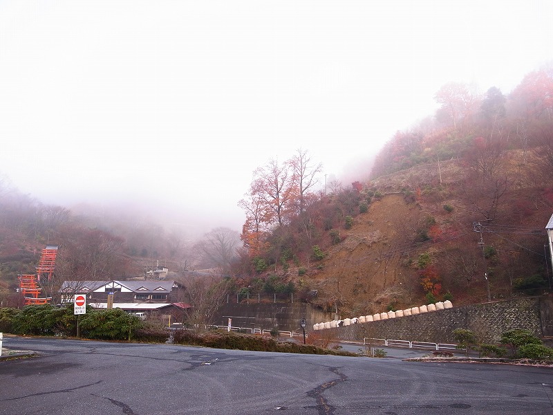 e0138939_923896.jpg