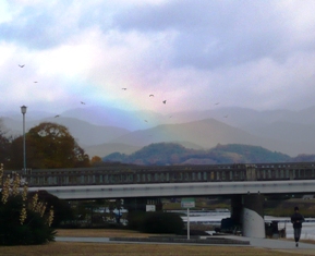 Finian\'s Rainbow_e0230141_1575780.jpg