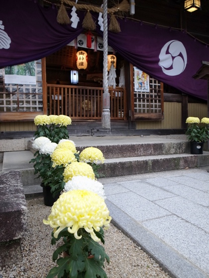 いろんな神社にて_e0158743_20302738.jpg