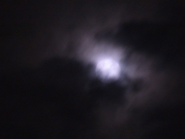 a0175545_024116.jpg