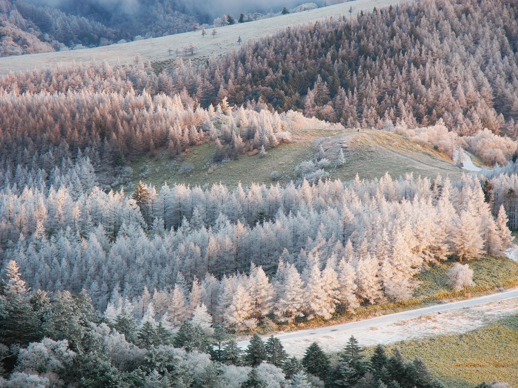 b0147449_9254246.jpg