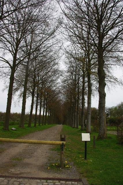 c0011649_881440.jpg
