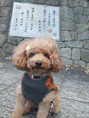 今年も「竜田川紅葉祭り」に・・・_f0068649_21543251.jpg