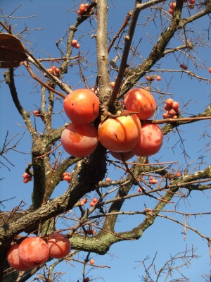 今年も「竜田川紅葉祭り」に・・・_f0068649_2202495.jpg