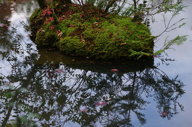 紅葉 2012　～退蔵院～_f0152550_165051.jpg