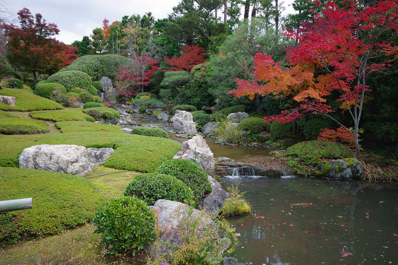 紅葉 2012　～退蔵院～_f0152550_1655349.jpg