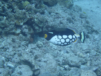 d0076952_11372479.jpg