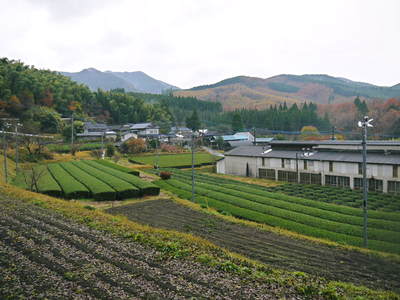 文殊さん祭り 伊牟田に伝わる文殊菩薩_a0254656_17555726.jpg