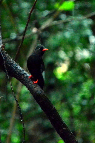 b0165760_21393793.jpg
